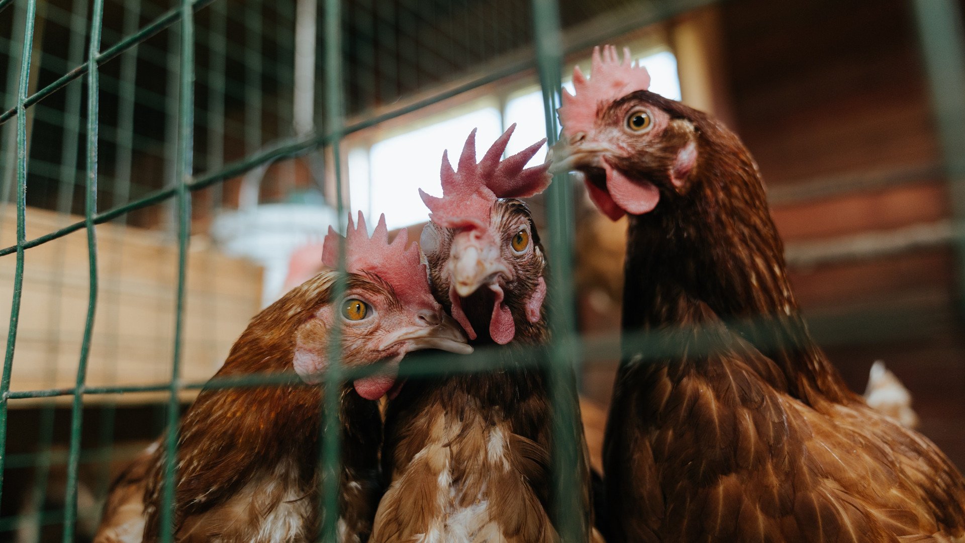 潜水锦标赛：探索深海的神秘世界，潜水比赛哔哩哔哩