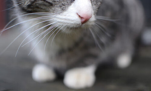 AYX SPORTS-特色科技赋能青少年篮球训练，智能设备推动训练科学化，青少年篮球训练课程