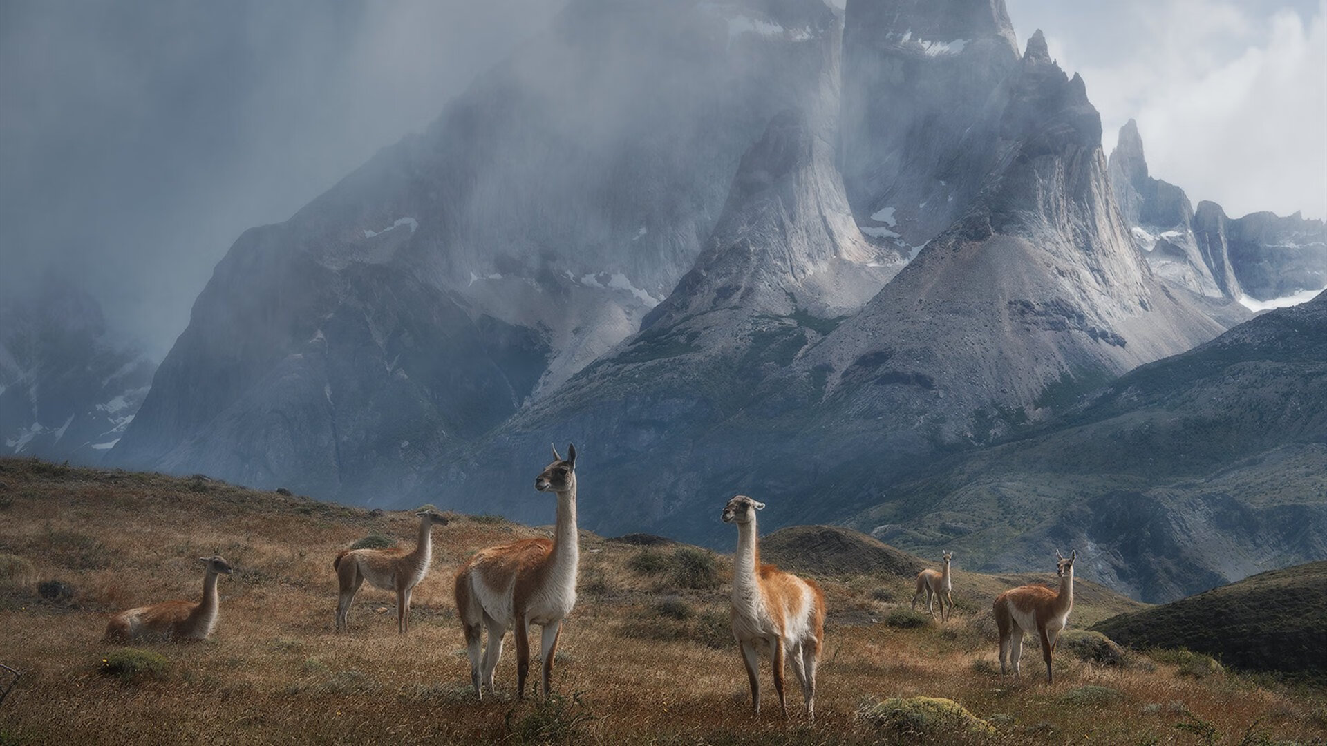 特色秋季森林跑,感受自然的美丽与运动的快乐,秋季森林下载安装
