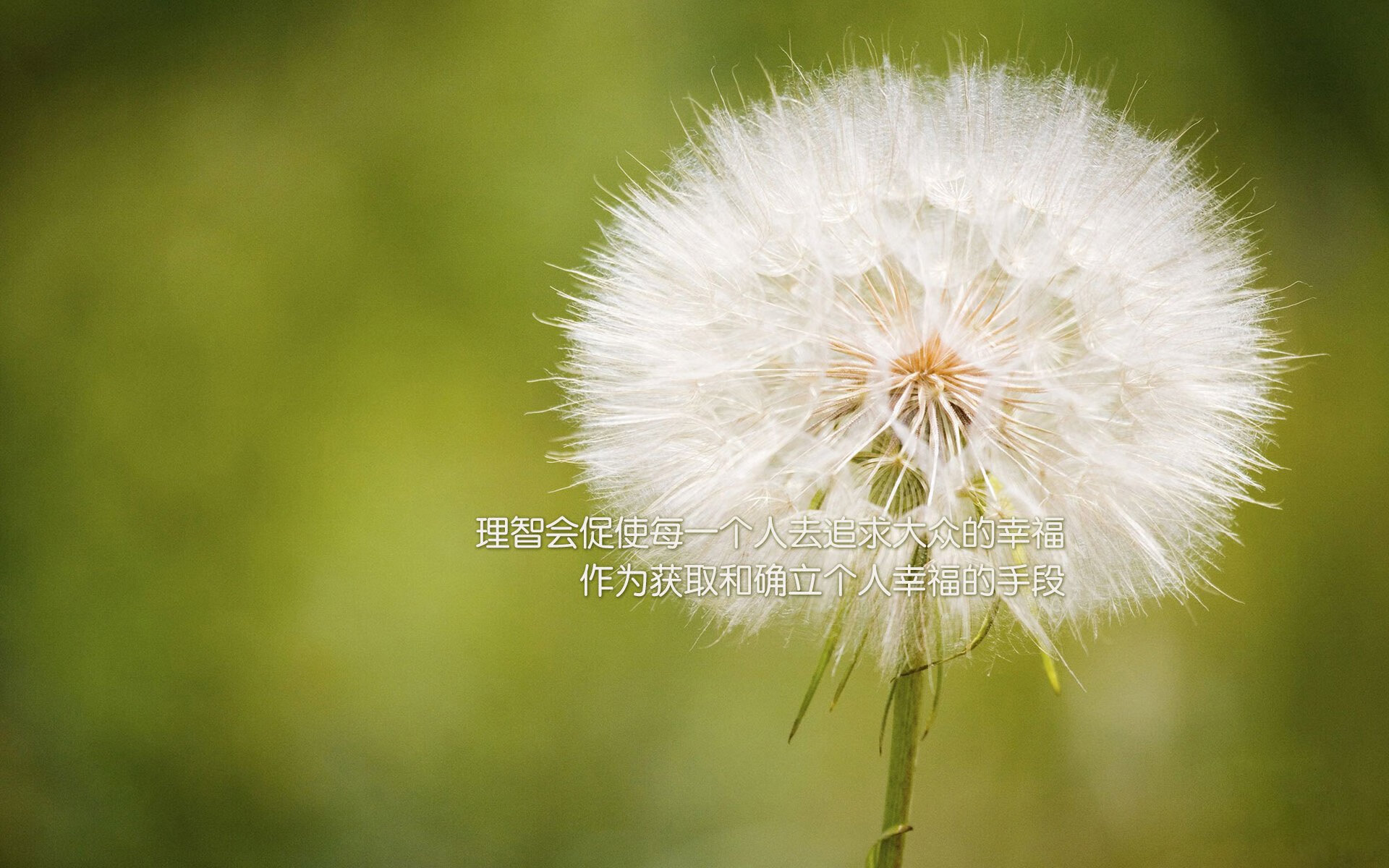 电竞与文化产业的创新发展:价值传承,文化输出,电竞文化与传统文化