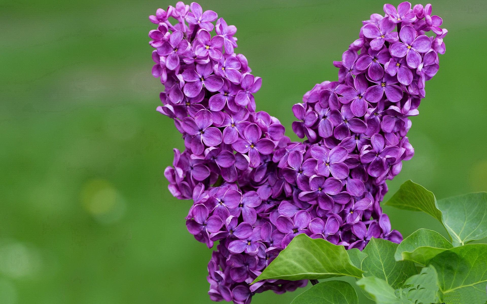 西甲积分榜变动频繁,巴萨追赶领头羊,2021年西甲足球积分排行榜