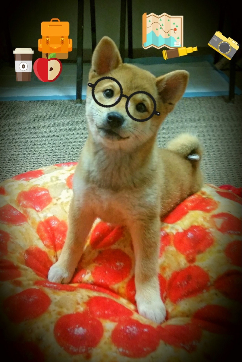 国家队篮球体能恢复训练计划,中国篮球体能训练指南