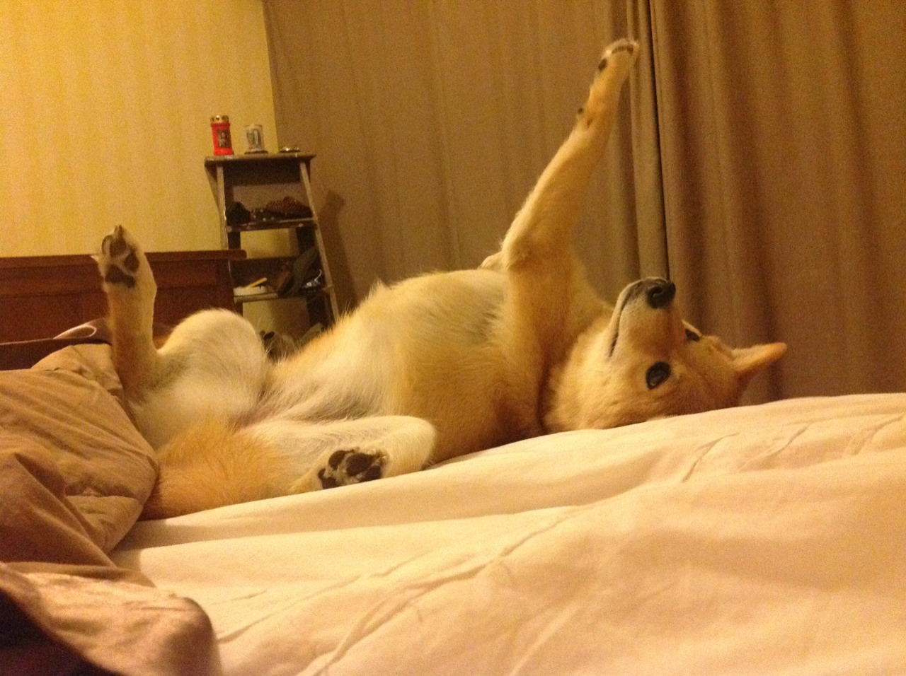 爱游戏官方网站-塞内加尔门将获得“冬奥最佳雪地守门员”称号