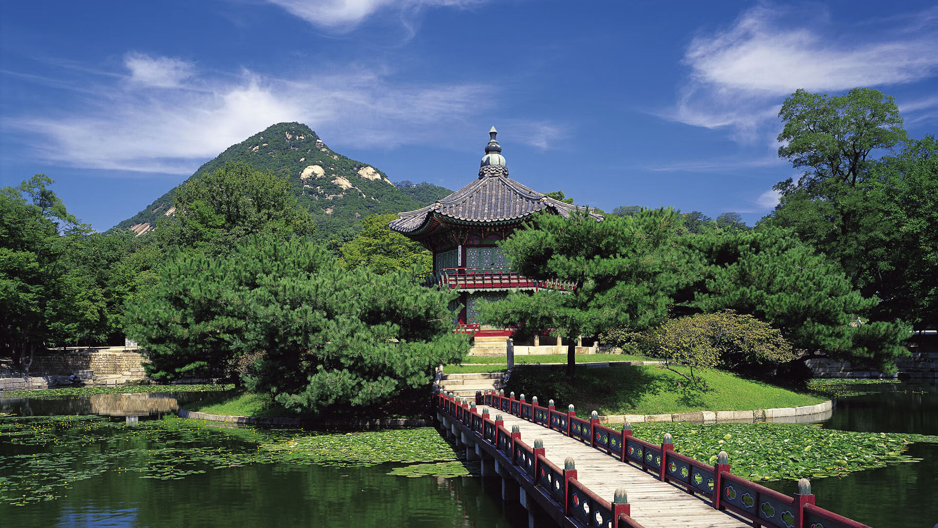 森林狼球员集体伤愈,球队士气大振,森林狼球队怎么样