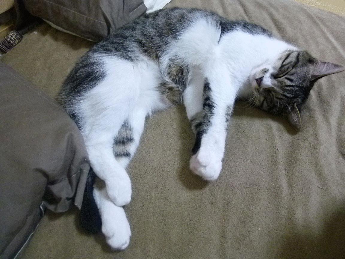 爱游戏官方-激烈角逐，球队积分榜上位争夺激烈，球队的积分是怎么算的