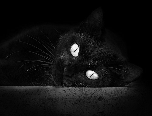 球员在比赛中展现出全面的篮球技巧,篮球比赛球员注意事项