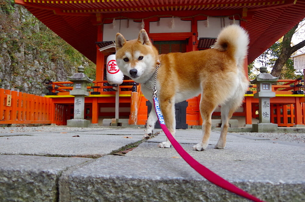 球员在比赛中展现出全面的篮球技巧,篮球比赛球员注意事项