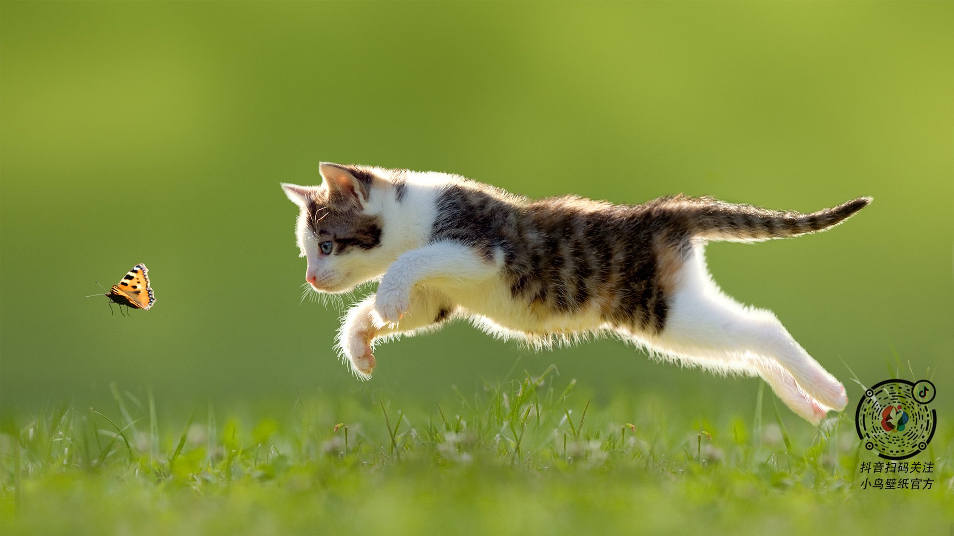 爱游戏中国官方网站平台-詹姆斯带领湖人强势反弹，詹姆斯湖人经典比赛