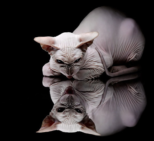 爱游戏娱乐-里尔客场小胜尼姆，保持领先优势，里尔对尼斯集锦