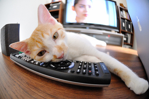 马洛卡在主场取得胜利,稳固排名欧战资格区域,马洛卡vs西班牙人比赛预测