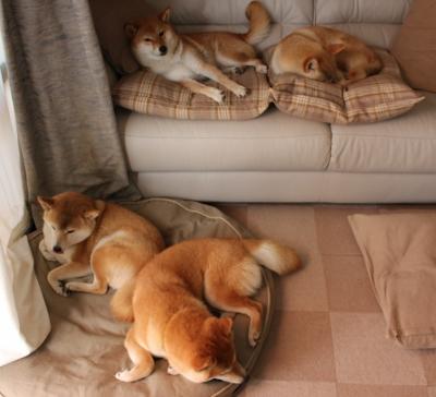 马德里竞技队主场迎战巴塞罗那队，备战西甲，11月22日 足球 马德里竞技vs巴塞罗那 全场集锦