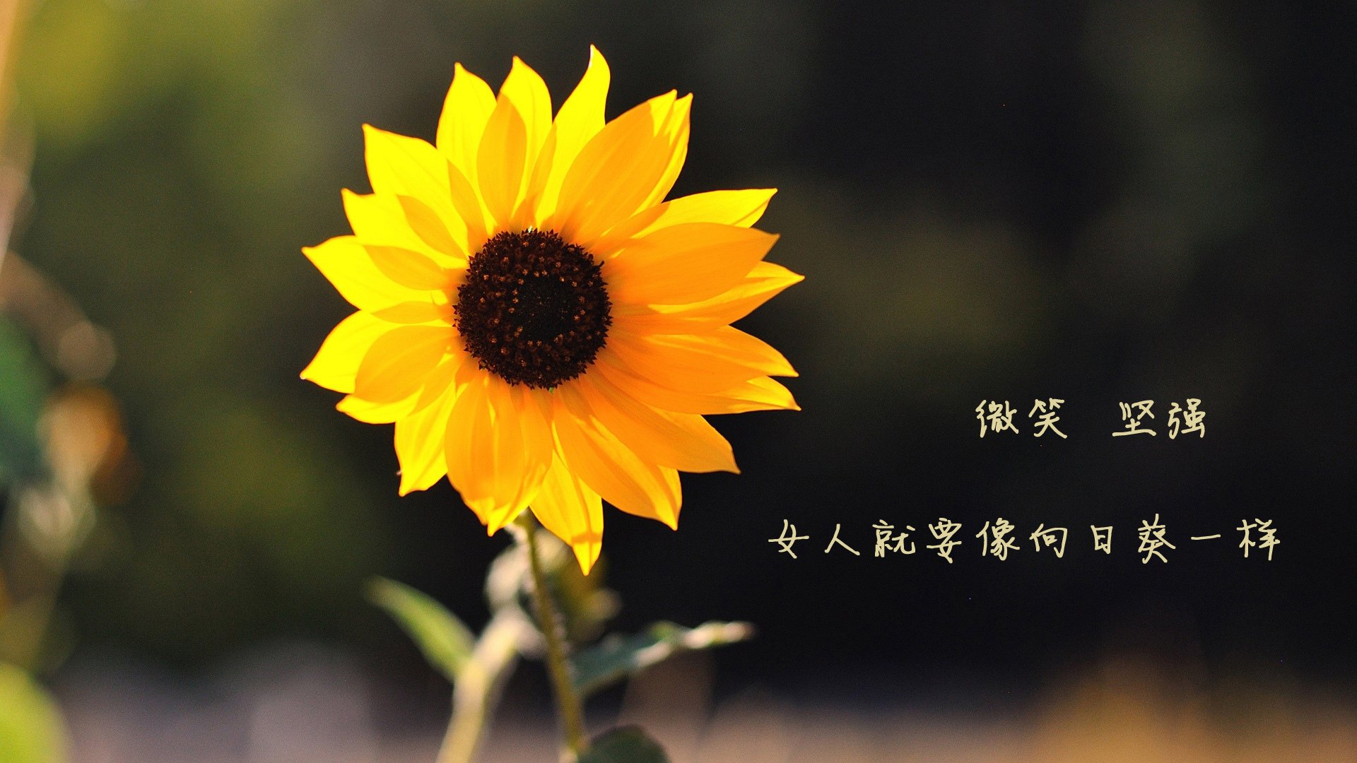 NBA球队管理层决策流程科学化研究,nba管理人员