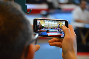 AYX GAMING-中国篮球联赛市场细分与营销研究，篮球联赛介绍