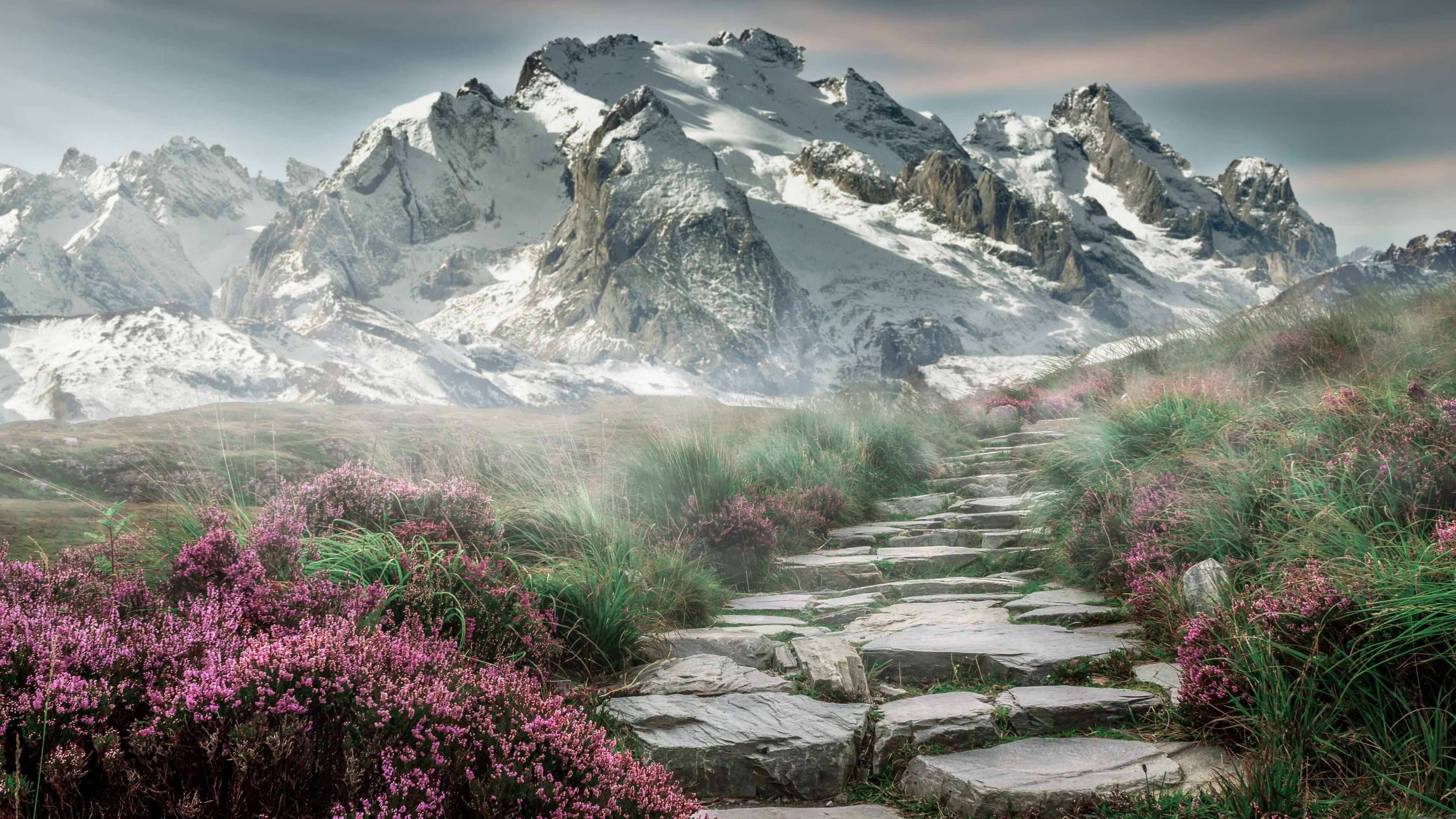 中国足球比赛期间心理干预数据分析,足球心理实验