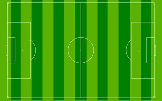 爱游戏登录入口-国足主场比赛战术布置与得分模型关联，国足阵容战术