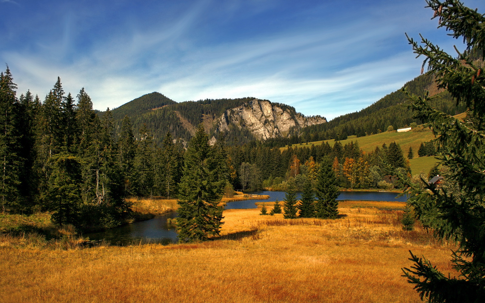 NBA转会窗口关闭 多队完成关键补强,nba球队转会