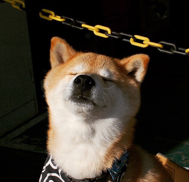 PSG替补表现平平,缺乏决定性贡献