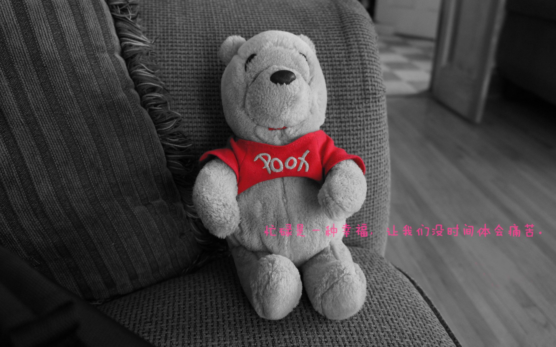 AYX SPORTS-“缆绳滑水：东桃花岛赛场新风尚，水面竞速超越极限”