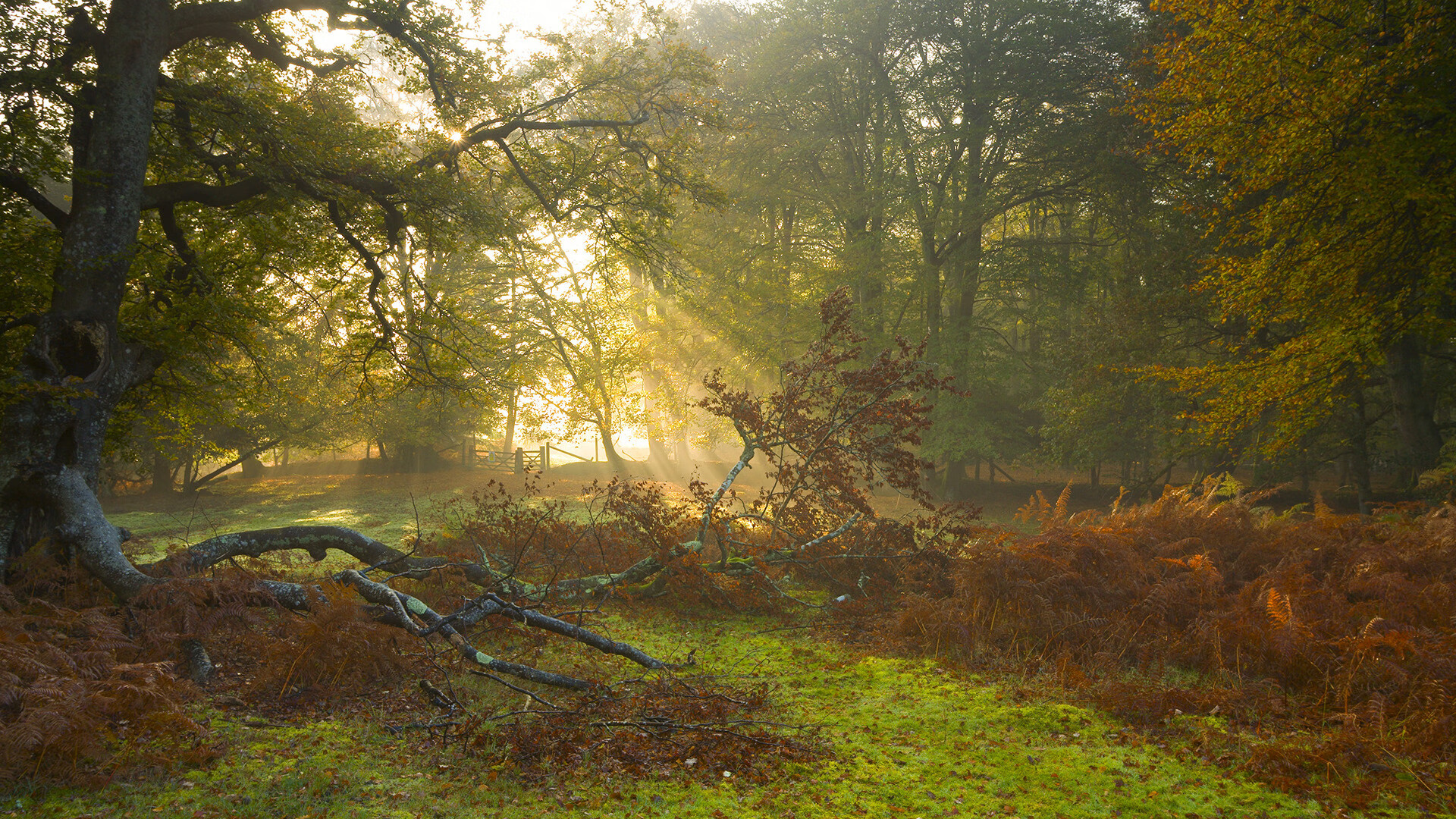 五大联赛豪门新援是否真正补齐短板，五大联赛之外的豪门