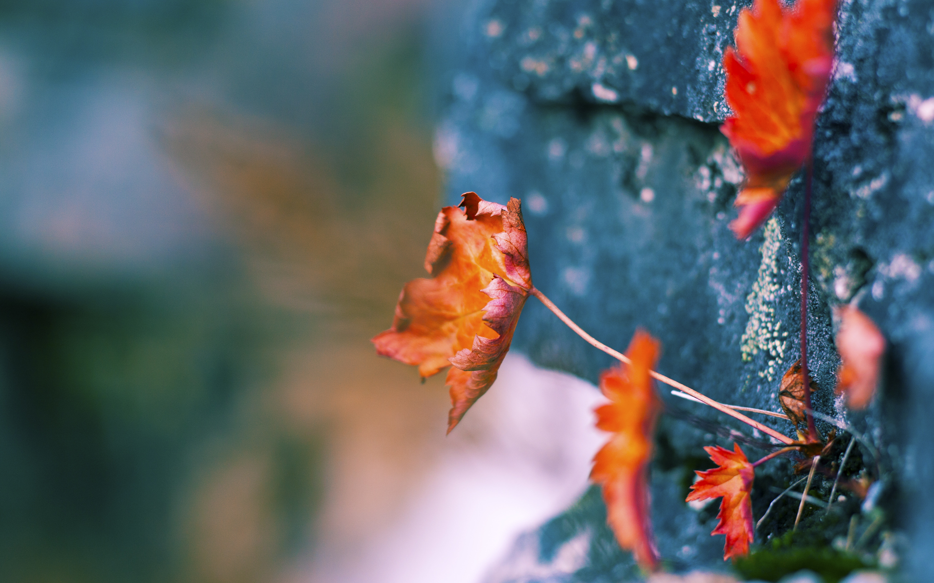 爱游戏平台-保守阵型防守固守是否能经受强队持续冲击，稳固防守