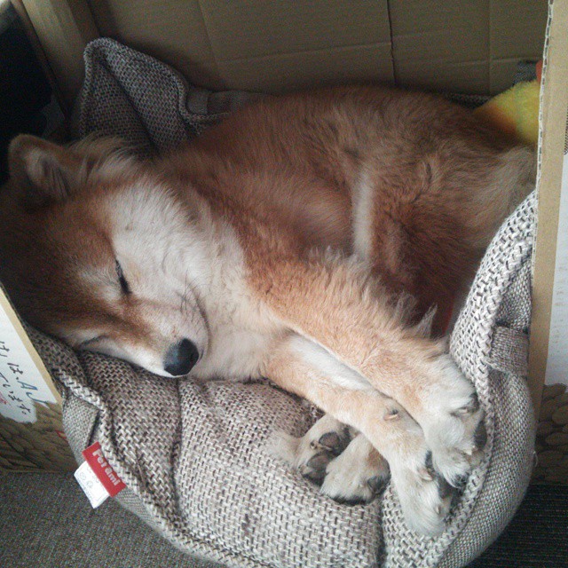 爱游戏综合娱乐-维拉边路插上提升传中质量带动攻势，维拉阵型