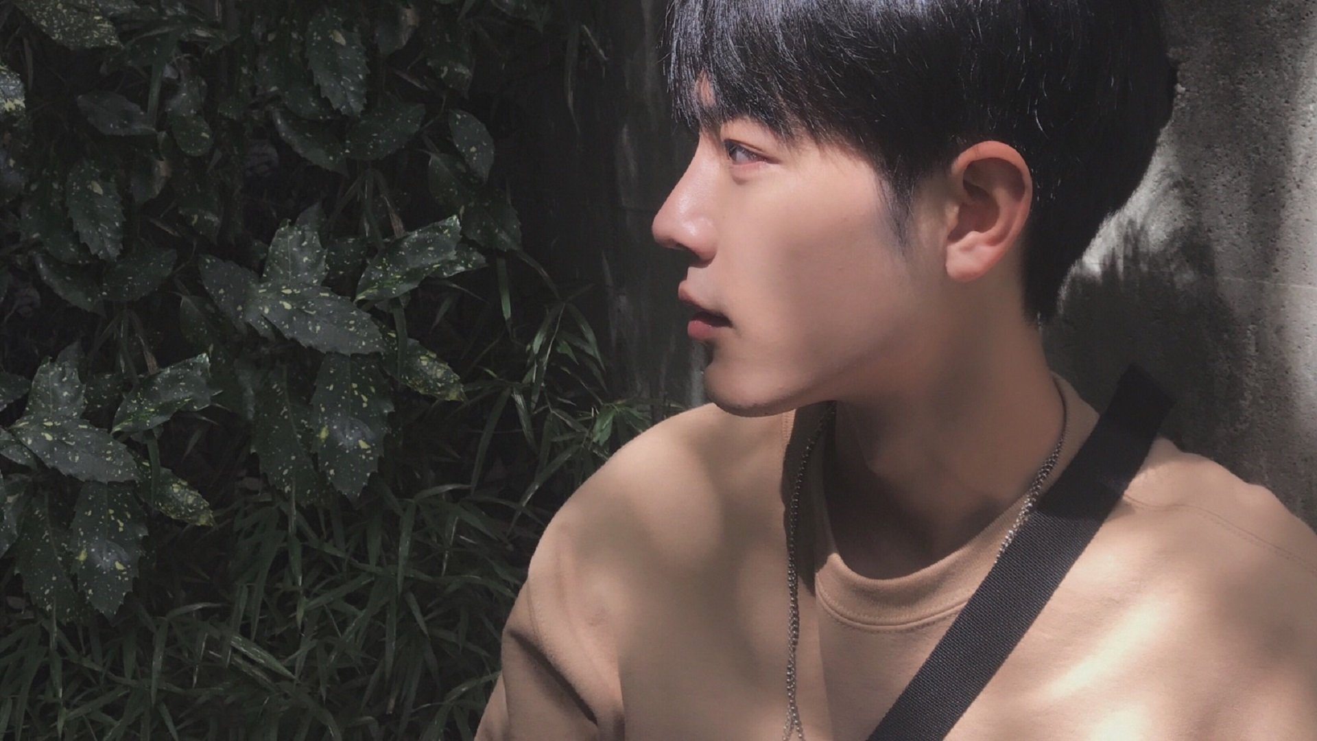 中国篮协推动俱乐部文化建设强化球队精神与城市归属，篮球俱乐部梯队建设