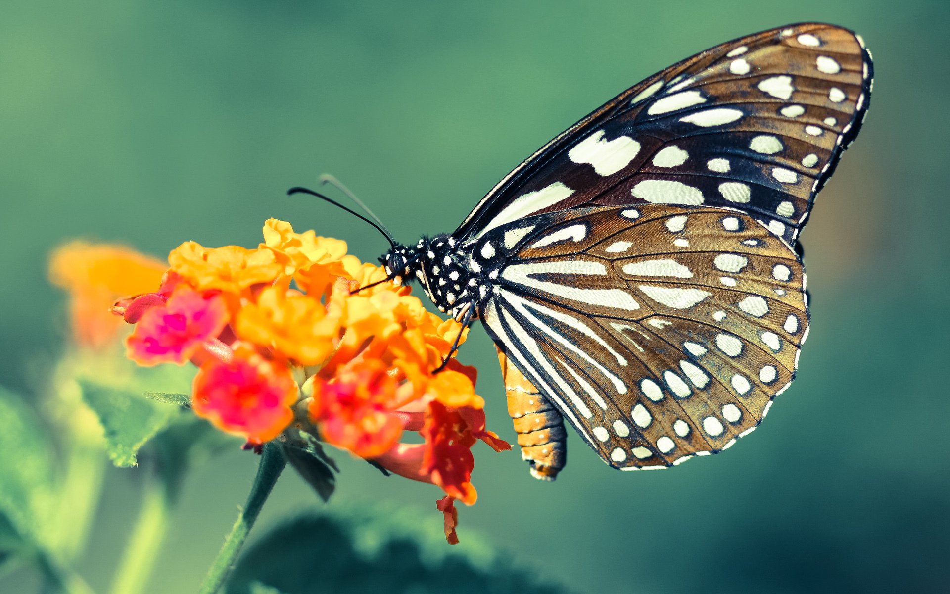 爱游戏体育官方网站-热火新赛季口号公布突出精神属性，新赛季热火首发