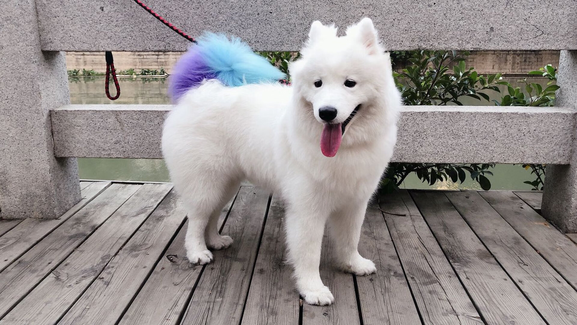 AYX GAMING-裁判引入AI辅助判罚试点，争议判罚逐步减少，辅助裁判员