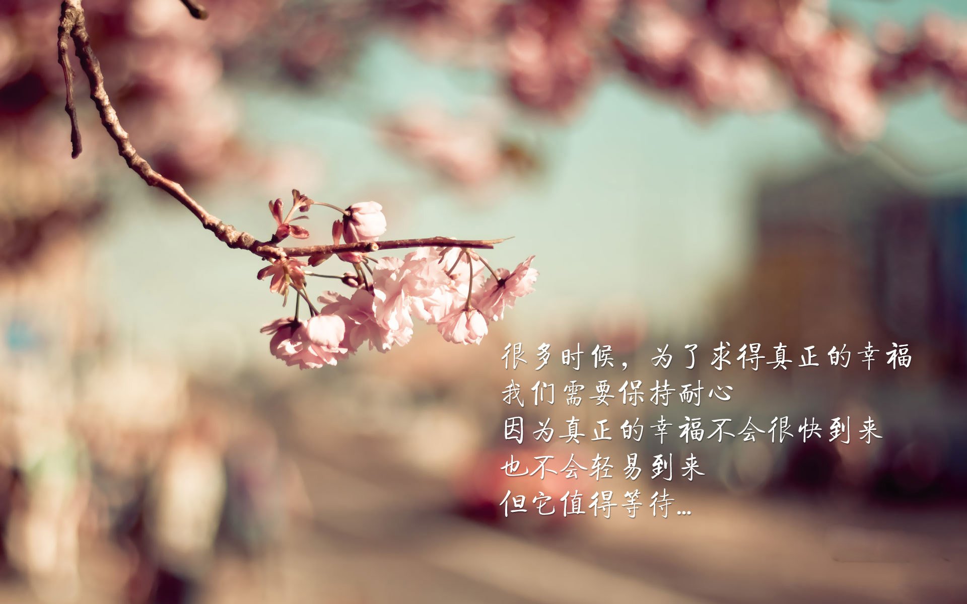 里根·史密斯蝶泳表现助力团队荣誉,里斯史密斯